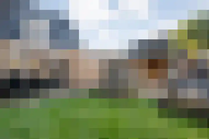 De Aalscholver 10 Dedemsvaart thumbnail 40