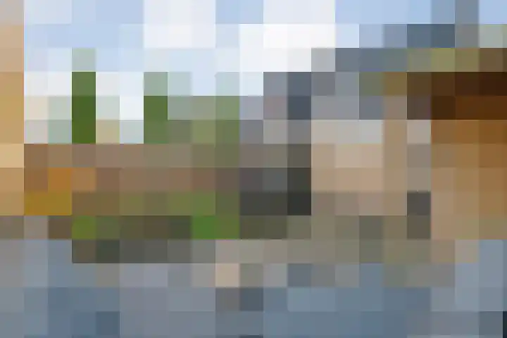 De Aalscholver 10 Dedemsvaart thumbnail 41