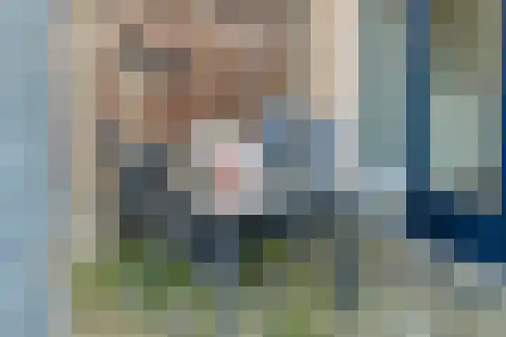 De Aalscholver 10 Dedemsvaart thumbnail 42