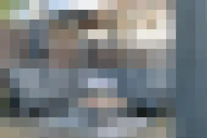 De Aalscholver 10 Dedemsvaart thumbnail 43