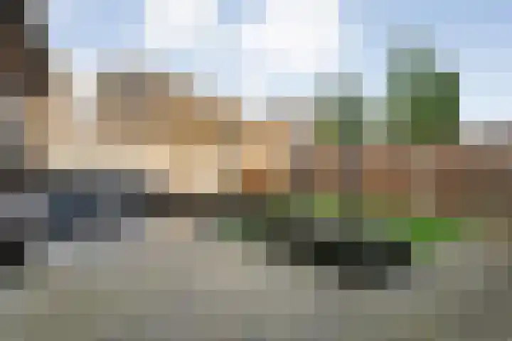 De Aalscholver 10 Dedemsvaart thumbnail 44