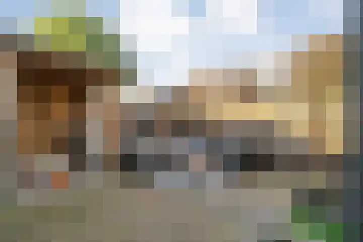 De Aalscholver 10 Dedemsvaart thumbnail 45