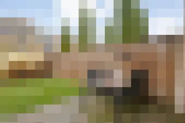 De Aalscholver 10 Dedemsvaart thumbnail 46