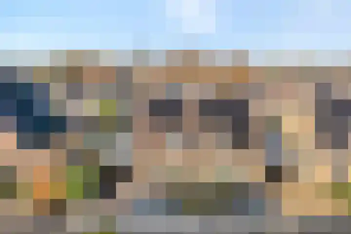 De Aalscholver 10 Dedemsvaart thumbnail 48