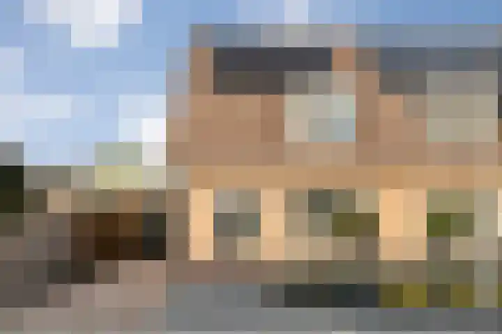 De Aalscholver 10 Dedemsvaart thumbnail 49