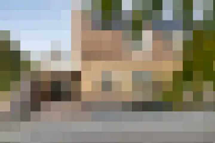 De Aalscholver 10 Dedemsvaart thumbnail 5
