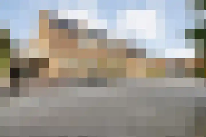 De Aalscholver 10 Dedemsvaart thumbnail 50