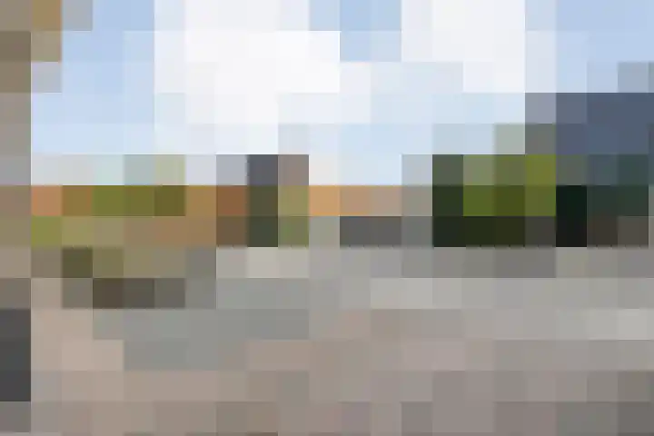 De Aalscholver 10 Dedemsvaart thumbnail 51