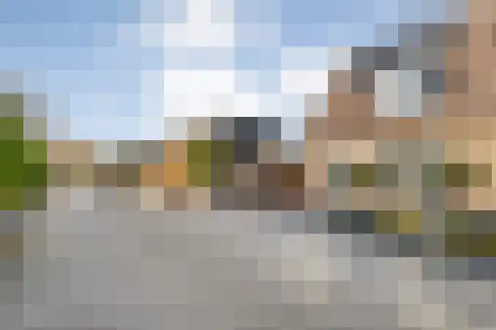 De Aalscholver 10 Dedemsvaart thumbnail 52