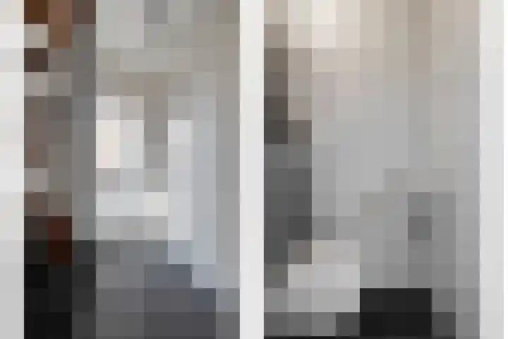 De Aalscholver 10 Dedemsvaart thumbnail 6