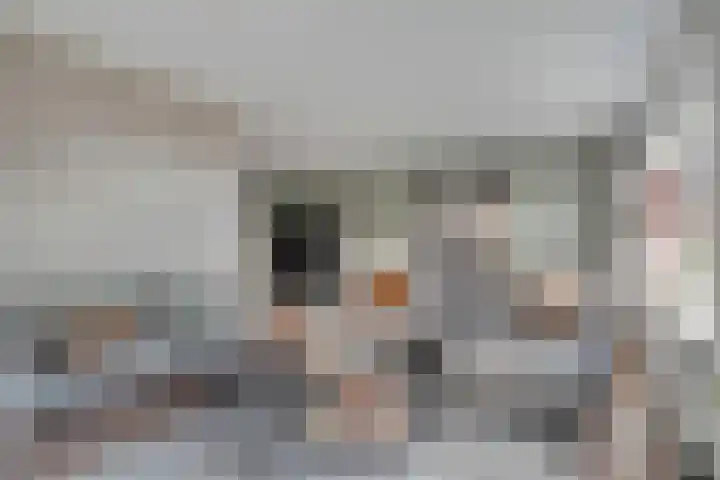 De Aalscholver 10 Dedemsvaart thumbnail 9