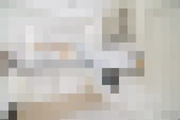 De Aalscholver 2 Dronten thumbnail 14