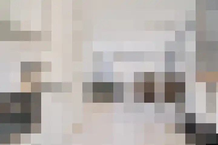 De Aalscholver 2 Dronten thumbnail 15