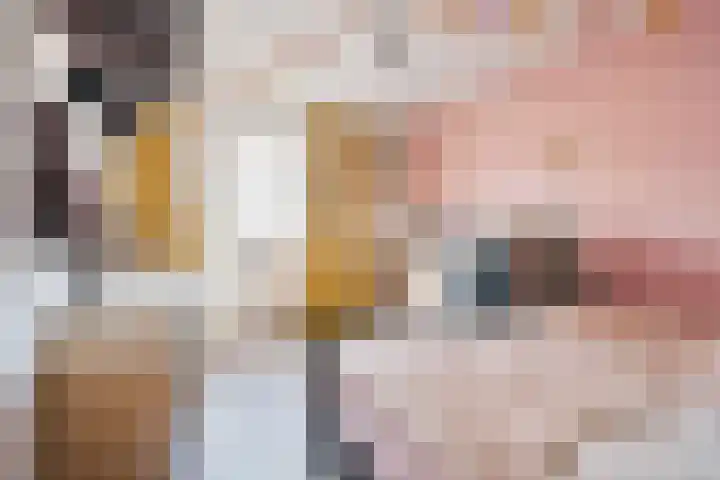 De Aalscholver 2 Dronten thumbnail 17