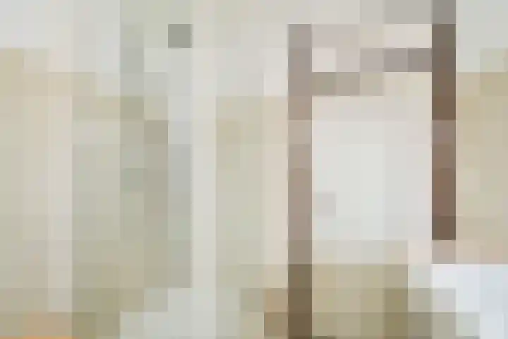 De Aalscholver 2 Dronten thumbnail 20