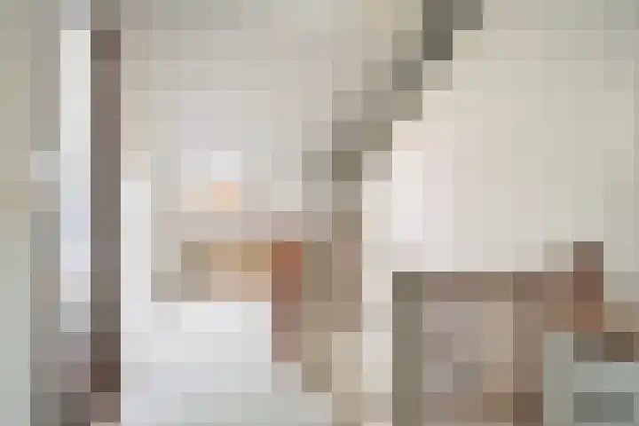 De Aalscholver 2 Dronten thumbnail 24