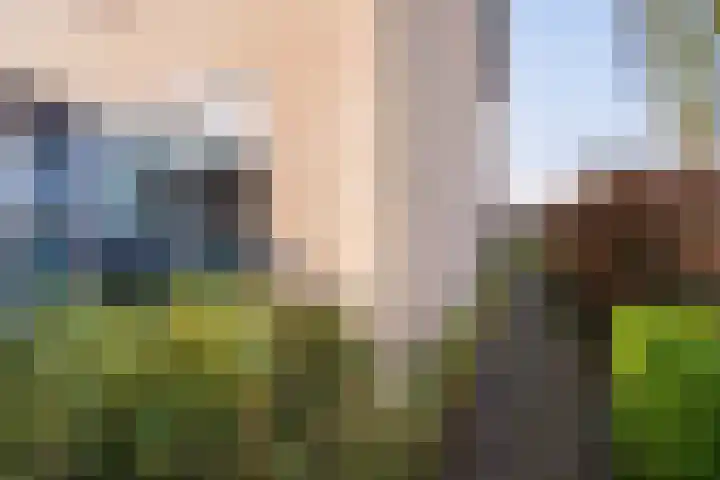 De Aalscholver 2 Dronten thumbnail 27