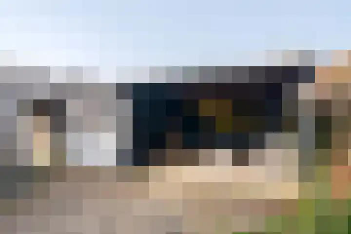 De Aalscholver 2 Dronten thumbnail 30