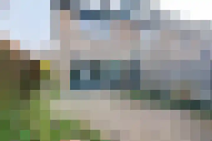 De Aalscholver 2 Dronten thumbnail 31