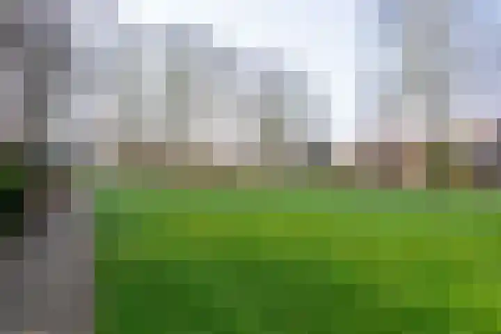 De Aalscholver 2 Dronten thumbnail 32