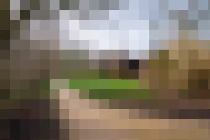 De Aalscholver 2 Dronten thumbnail 33