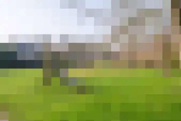 De Aalscholver 2 Dronten thumbnail 34