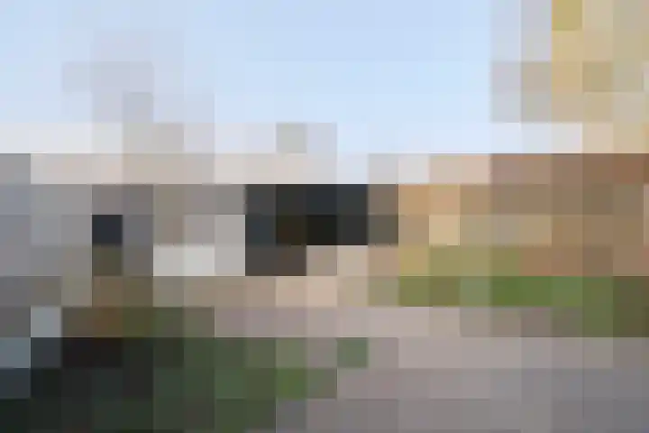 De Aalscholver 2 Dronten thumbnail 4