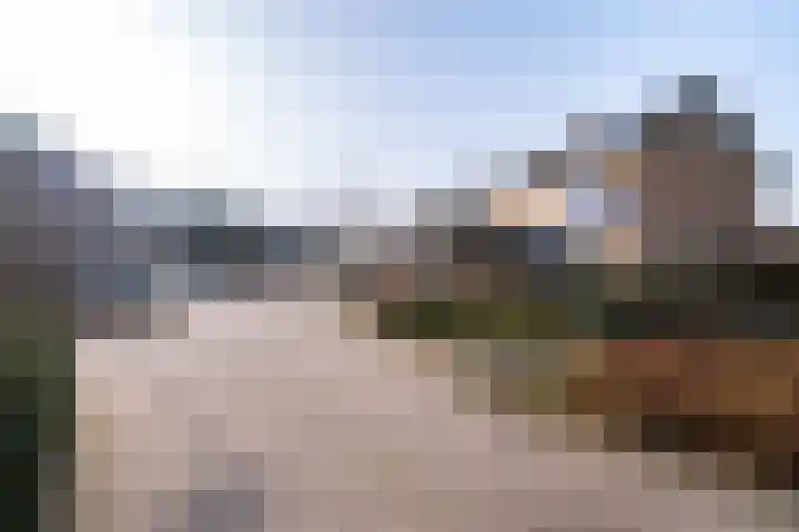 De Aalscholver 2 Dronten thumbnail 6