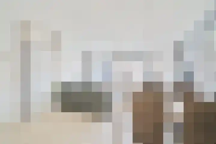 De Aalscholver 2 Dronten thumbnail 9