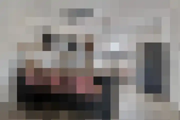 De Aalsvoorten 17 a Haps thumbnail 18