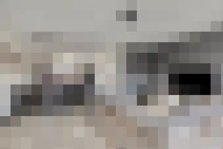 De Aalsvoorten 17 a Haps thumbnail 22