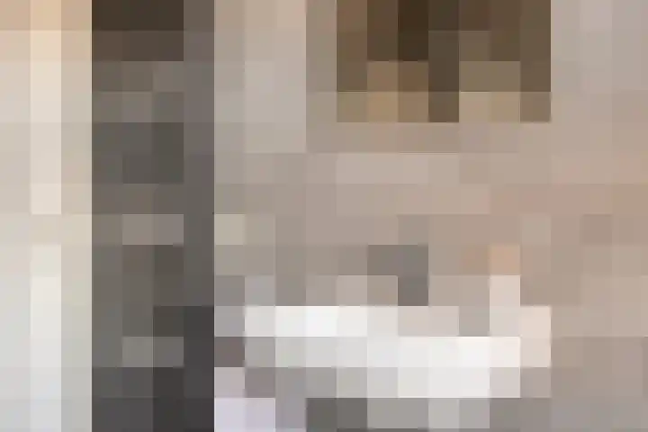 De Aalsvoorten 17 a Haps thumbnail 31
