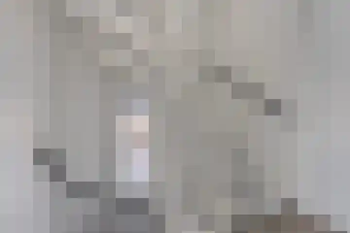 De Aalsvoorten 17 a Haps thumbnail 32