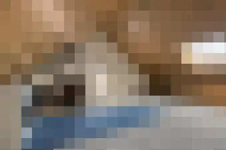 De Aalsvoorten 17 a Haps thumbnail 33