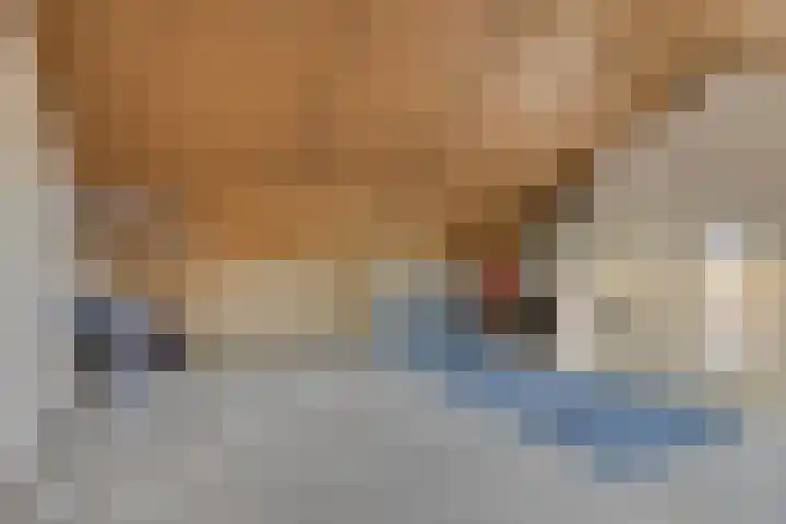 De Aalsvoorten 17 a Haps thumbnail 34
