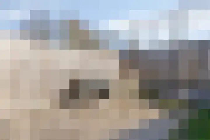 De Aalsvoorten 17 a Haps thumbnail 37