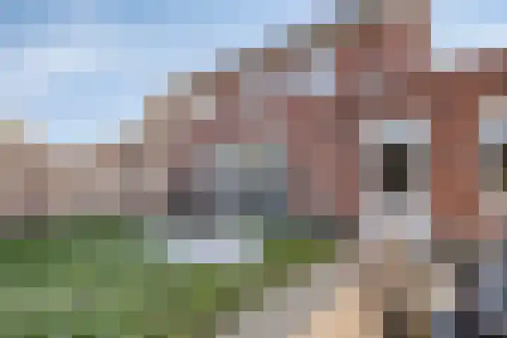 De Aalsvoorten 17 a Haps thumbnail 40