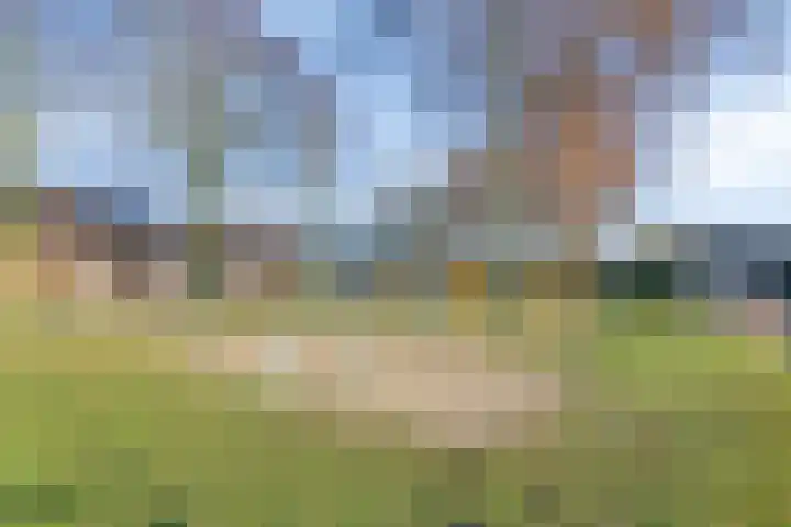 De Aalsvoorten 17 a Haps thumbnail 44