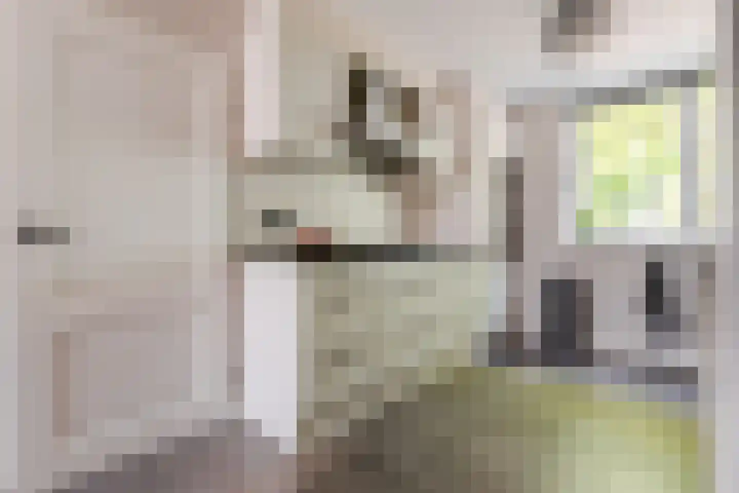 De Aalsvoorten 2 Haps thumbnail 11
