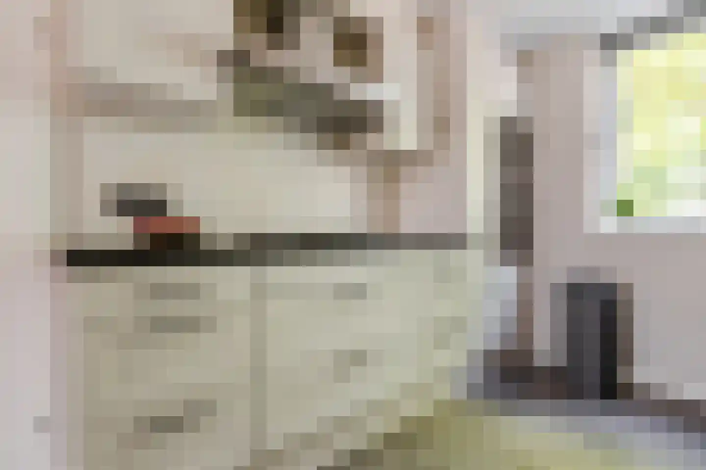 De Aalsvoorten 2 Haps thumbnail 12