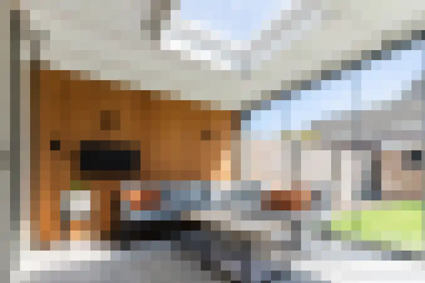 De Aalsvoorten 2 Haps thumbnail 14