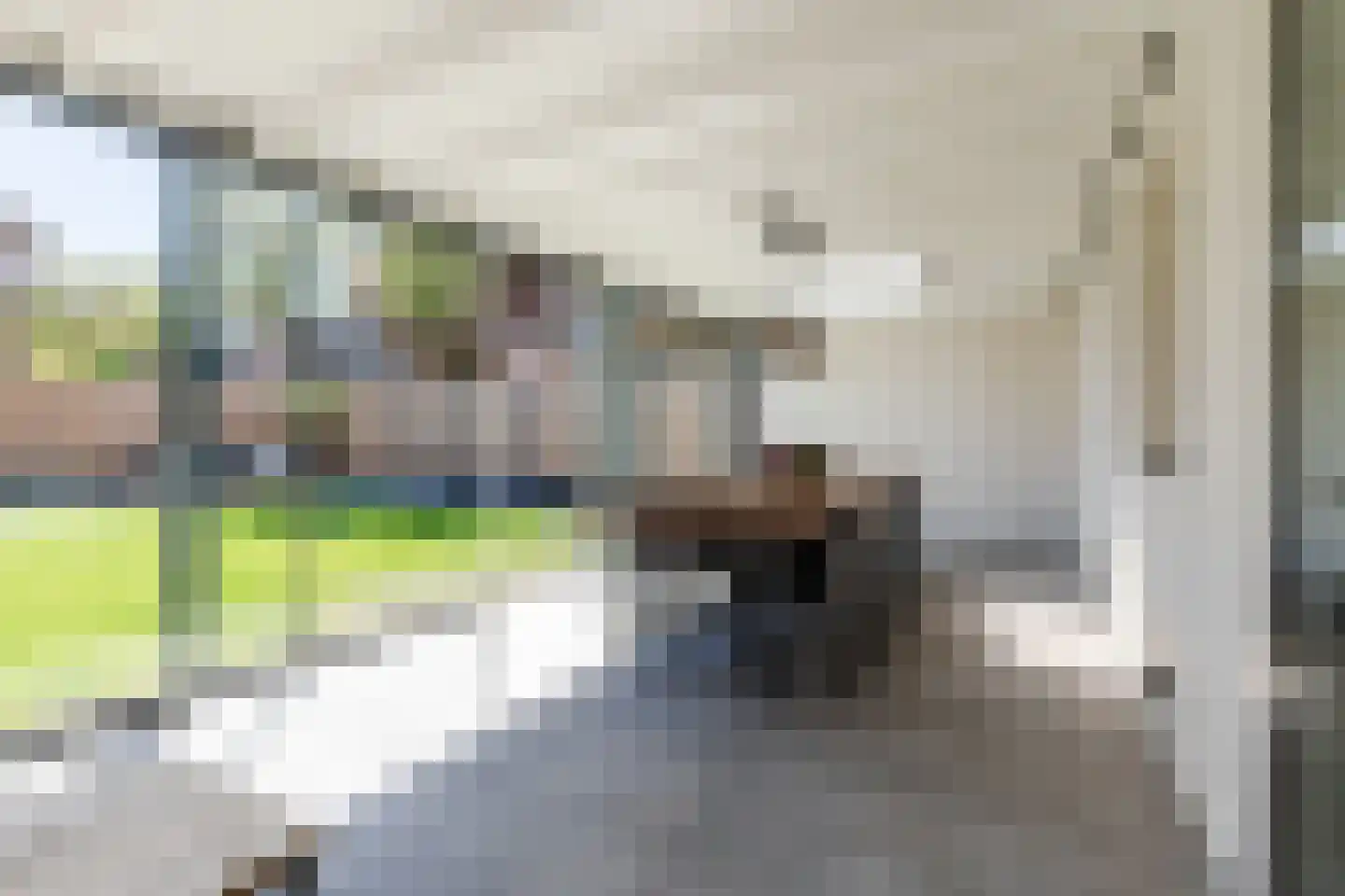 De Aalsvoorten 2 Haps thumbnail 15