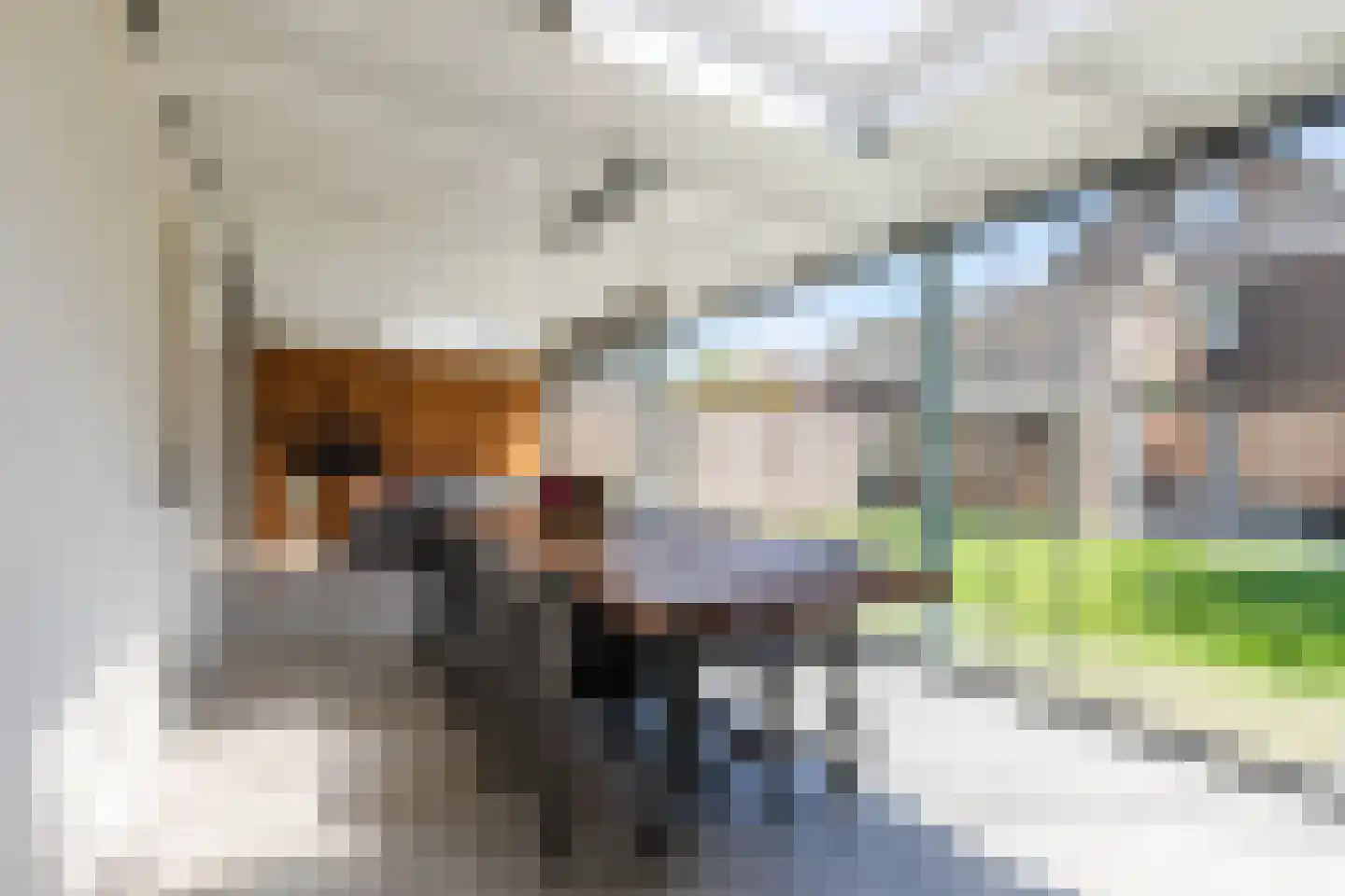 De Aalsvoorten 2 Haps thumbnail 16
