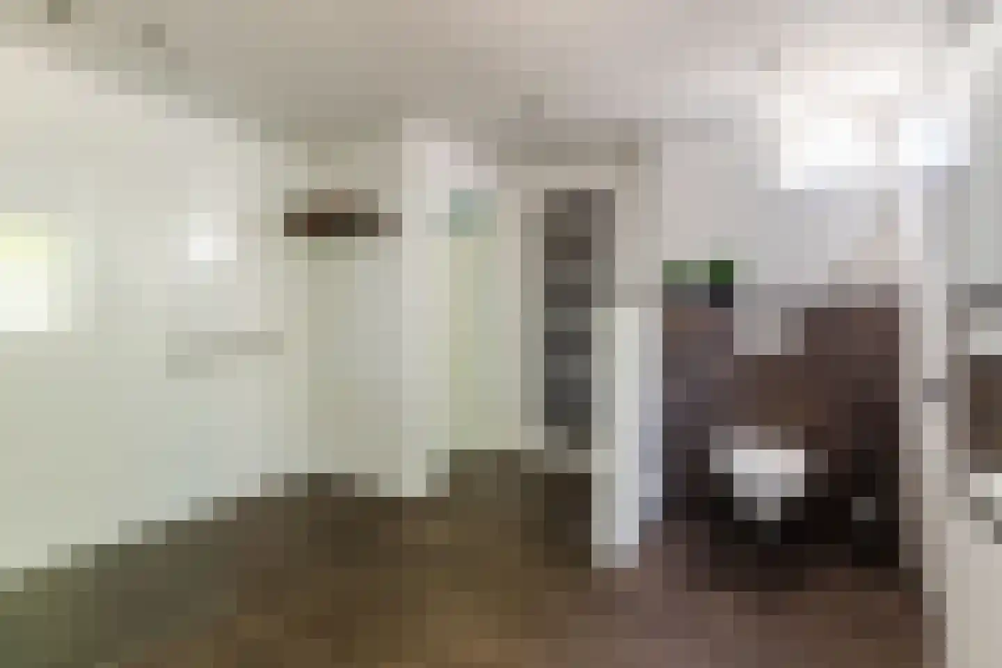De Aalsvoorten 2 Haps thumbnail 22