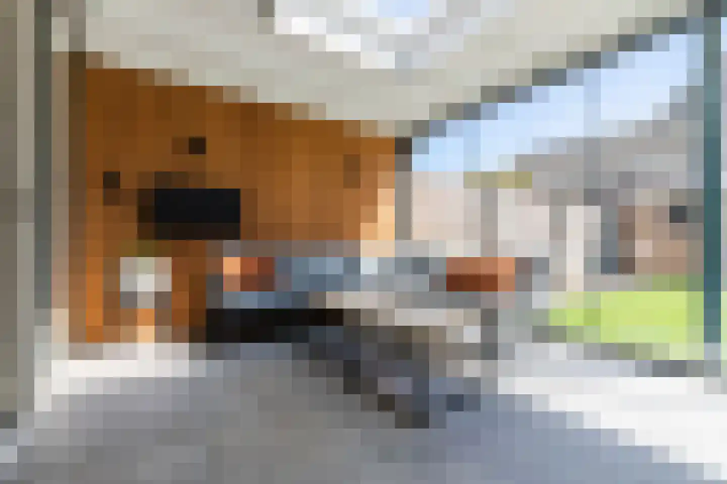 De Aalsvoorten 2 Haps thumbnail 4