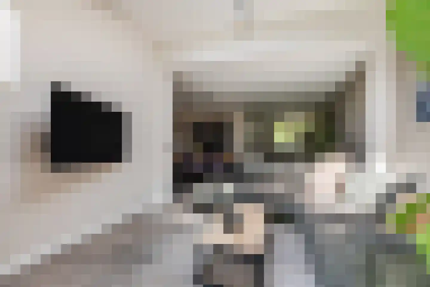 De Aalsvoorten 2 Haps thumbnail 8