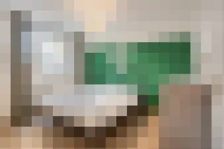 De Aalsvoorten 28 Haps thumbnail 22