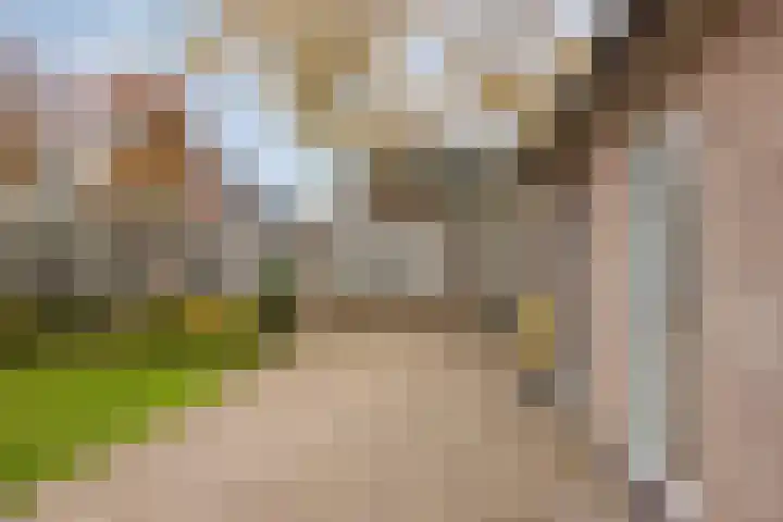 De Aalsvoorten 28 Haps thumbnail 29