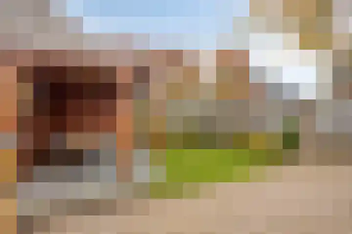 De Aalsvoorten 28 Haps thumbnail 30