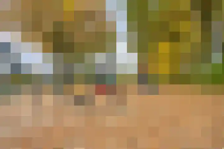 De Aalsvoorten 28 Haps thumbnail 32